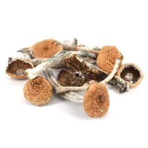 Mazatapec Mushrooms UK