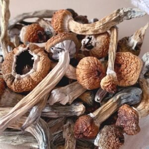 Magic Mushrooms UK